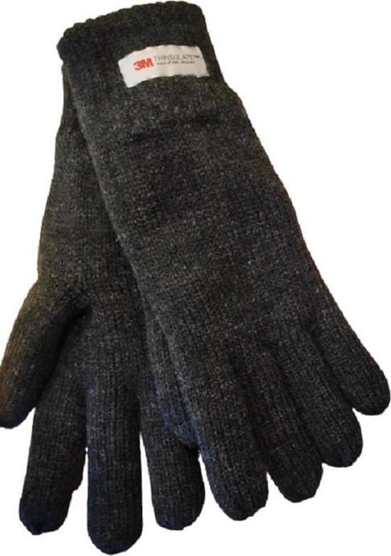 handschoenen heren winter 3m thinsulate