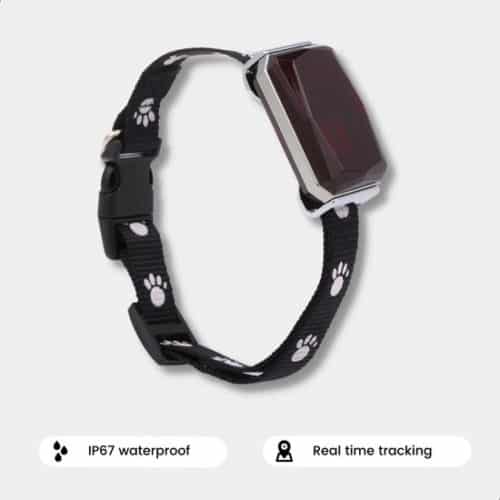 Kattenbandje met GPS kopen de 10 beste GPS trackers voor katten van