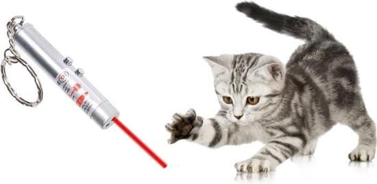 dolphix laserpen sleutelhanger kattenspeelgoed rood