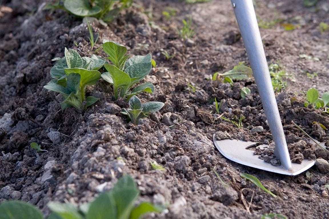 De 10 Beste Schoffels om in te tuin te werken - Top 10 Koopgids - UNU A.I.