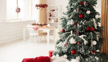 Kerstbomen in de living