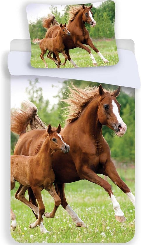 animal pictures paard veulen dekbedovertrek eenpersoons 140 x 200 cm