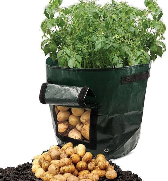 aardappel kweken zak groenten verbouwen tuinieren plant kweekzak