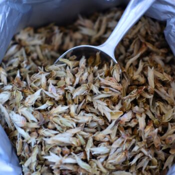 silver bud ya bao jade theebe silver bud ya bao jade theebe