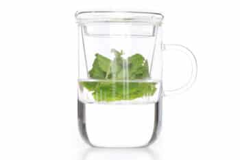 theeglas met filter 470ml theebe theeglas met filter 470ml theebe